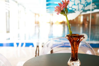 Cam vazoda lilyum bir tablo ile