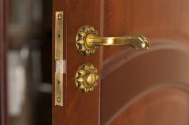 Kolu ve ahşap kapı 