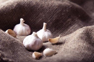 Taze sarımsak. Sarımsak ampuller ve çul arka plan üzerinde diş sarımsak