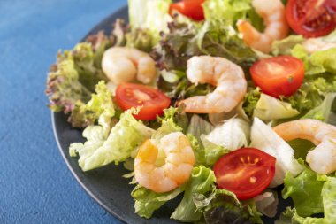 Domatesli karides salatası ve tabakta karışık sebze. Sağlıklı gıda konsepti