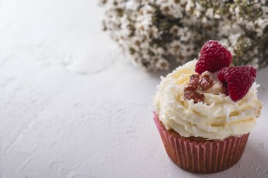 Ahududulu ve hindistan cevizli lezzetli kek. Kopyalama alanı