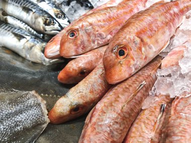 Buzda balık. Yakın çekim.