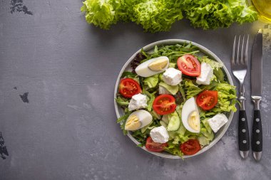 Sebze salatası, yumurta, peynir ve karışık sebze tabağı. Sağlıklı yiyecekler. Üst Manzara. Kopyalama alanı