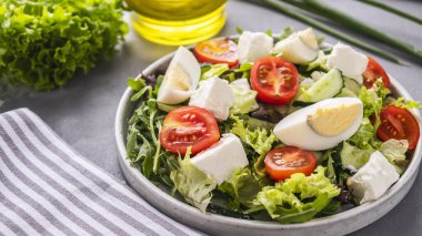 Yumurta, domates, peynir ve karışık yeşillikler. Kopyalama alanı olan sağlıklı salata. 