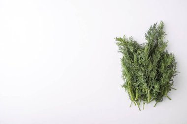 Beyaz arka planda taze rezene. Üst görünüm, metin alanı