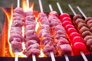 Shashlik doğadaki mangal üzerine. Piknik. Yakın çekim.