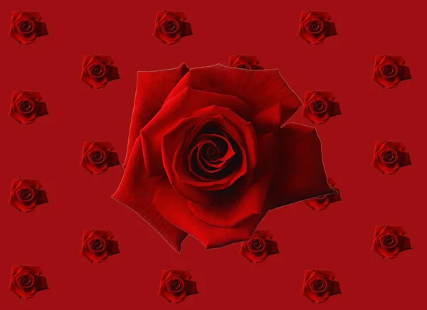 Borrosa de rosas rojas dulces en estilo de color pastel sobre una suave textura bokeh borrosa para el fondo. Fondo rojo de muchas rosas. Ilustración vectorial, eps 10 . — Vector de stock