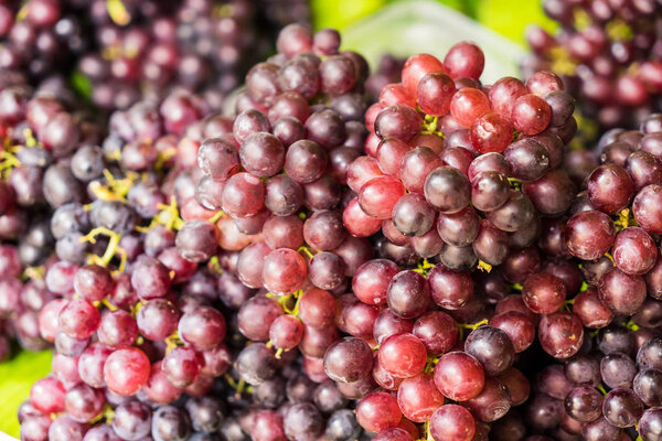 Bunches of fresh ripe red grapes, Red wine grapes background