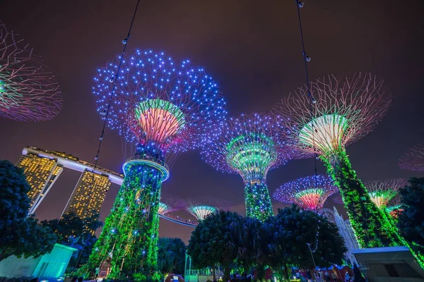 Singapur - 19 Kasım 2017: Supertree Grove gösteri, Singapur S