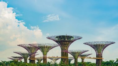 Singapur - 19 Kasım 2017: Panoramik Supertree G de