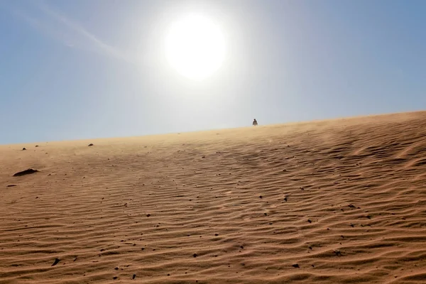 Beauty of Landscape desert, Red Sand Dune Mui Ne in Vietnam