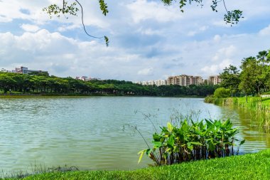 Singapur: Punggol parkının güzel göl manzaralı mavi gökyüzü ile bir
