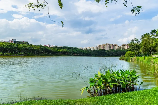Singapur: Punggol parkının güzel göl manzaralı mavi gökyüzü ile bir
