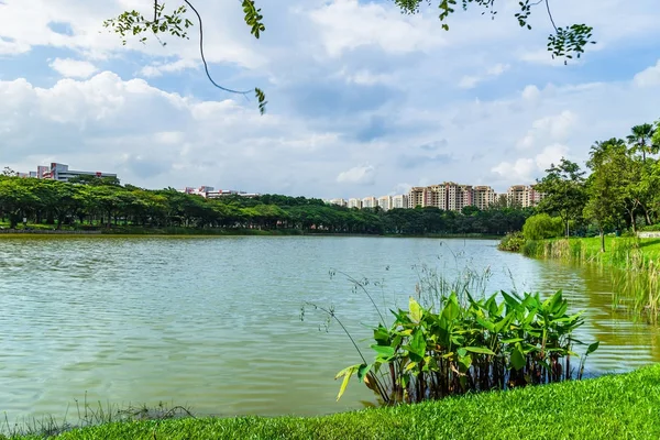 Lindo lago vista do Parque Punggol em Singapura com céu azul um Imagens De Bancos De Imagens