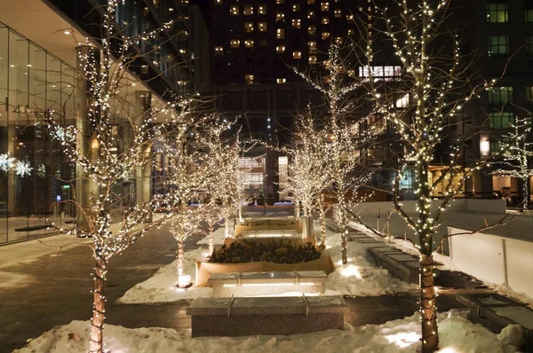 Parlak yaktı Noel dekore edilmiş sokak downtown Toronto bir gökdelen önünde gece