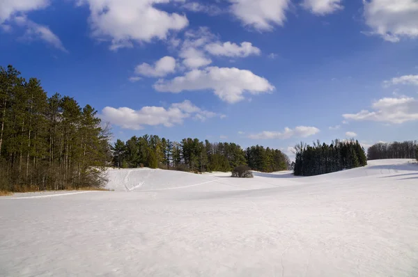 Bellissimo campo invernale e fores scenario con cielo blu e nuvole bianche — Foto Stock