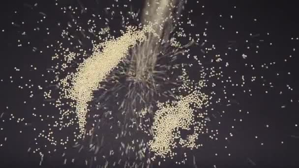 Trockenes Korn fällt auf einen schwarzen Tisch. Gelbe Grütze ergießt sich. Blick von oben — Stockvideo