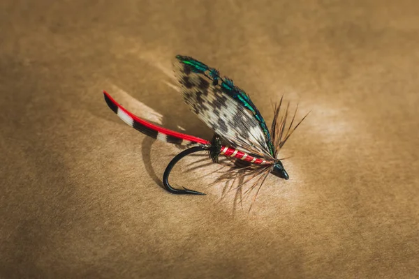 Macro shot of a wet fly fishing , Calder — Stock Photo, Image