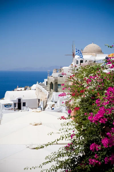 Santorini, Greece - blue sea, blue sky and pink flowers — Stock Photo, Image