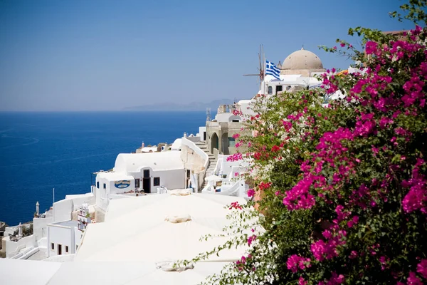 Santorini, Yunanistan - mavi deniz, mavi gökyüzü ve pembe çiçekler