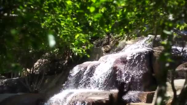 Waterval in tropisch paradijs Hd — Stockvideo