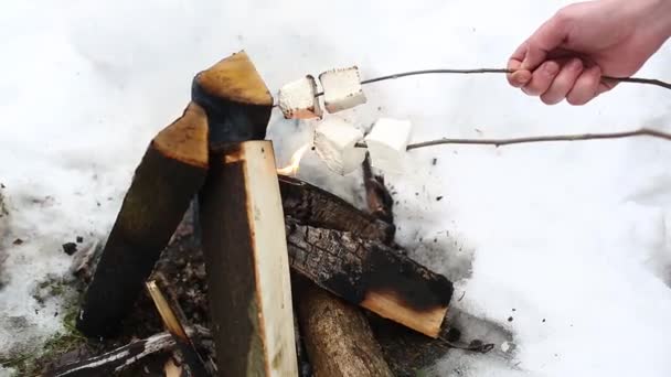 Acercamiento de malvaviscos asándose sobre una llama abierta . — Vídeo de stock