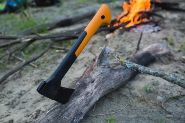 Baltayı ağacında. Turist kamp