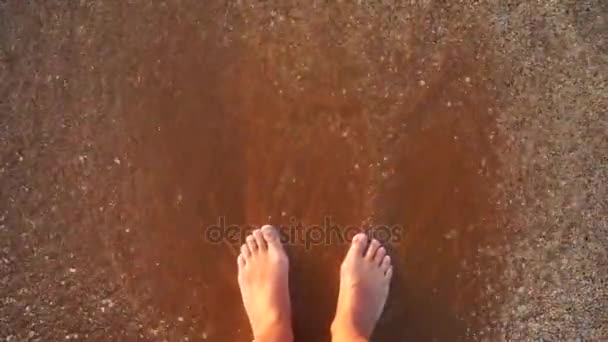 Ноги молодої жінки ступають у пісок. Крупним планом жіночі ноги ходять на золотому піску на пляжі з океанськими хвилями на фоні. Дівчина босоніж на березі моря. Літні канікули. Повільний рух — стокове відео