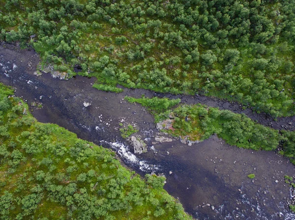 Yağmur ormanları, Rusya'da Nehri'nin Üstten Görünüm