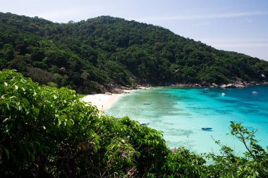 Güzel deniz manzarası ile tropik sahil ve yüksek hızlı tekne Tachai Island, Phang nga, Tayland