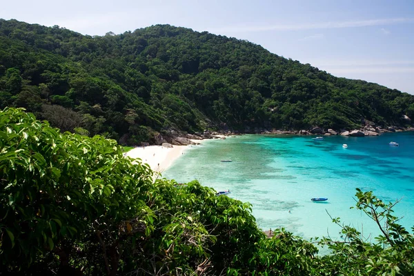 Güzel deniz manzarası ile tropik sahil ve yüksek hızlı tekne Tachai Island, Phang nga, Tayland