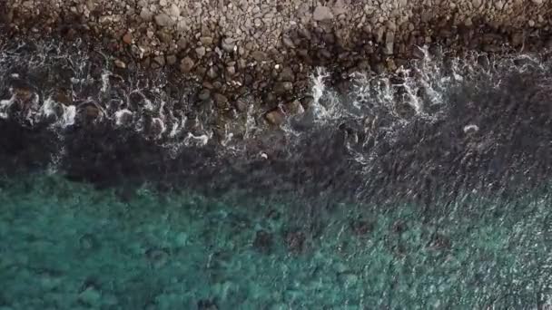 테네리페에서 바위 해안 lapping 파도의 비디오 — 비디오