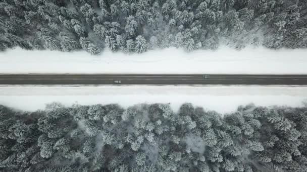 Vägen i skogen vinter. Flygfoto. — Stockvideo