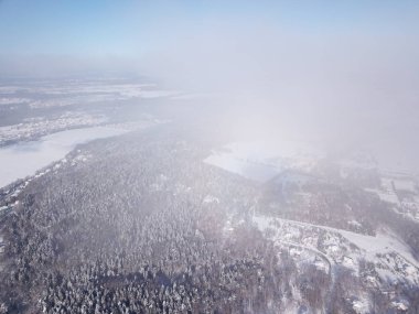 Hava, kar görünümünü dron Evergreen Noel ağacı orman sonra kar kaplı.