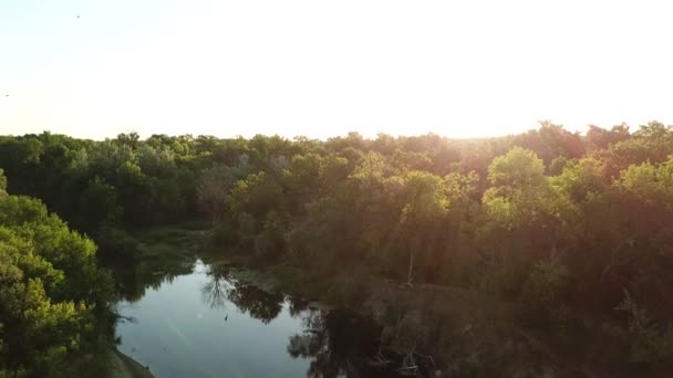 Forest Landscape Sunrise Over Water Cinematic Drone Footage Egy erdő és folyó légi felvételei naplementekor 4k-ben — Stock videók