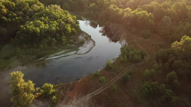 Forest Landscape Sunrise Over Water Cinematic Drone Footage Egy erdő és folyó légi felvételei naplementekor 4k-ben — Stock videók