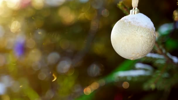 Uma bola branca de férias adorna uma árvore de Natal ao sol — Vídeo de Stock