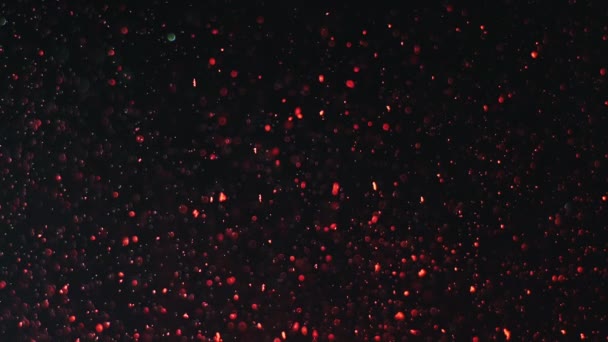 Pequeñas partículas rojas flotan sobre un fondo negro — Vídeo de stock