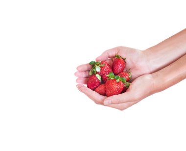 Çilek elinde. Beyaz arka plan. El çilek ile