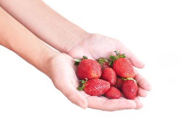 Çilek elinde. Beyaz arka plan. El çilek ile