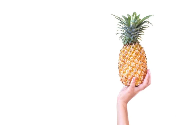 Ananasa. Ananas rura ręka studio białym tle. Frui — Zdjęcie stockowe