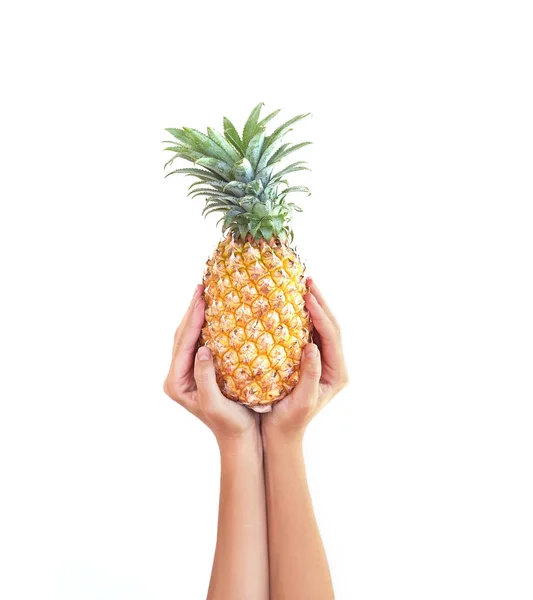 Ananasa. Ananas rura ręka studio białym tle. Frui — Zdjęcie stockowe