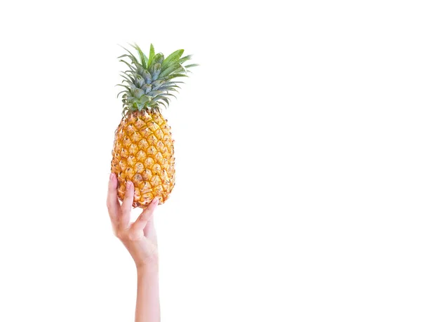 Ananas. Potrubí ananas v rukou studio bílé pozadí. Ovoce — Stock fotografie