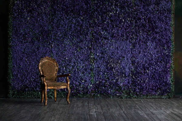 스튜디오와의 자에 있는 꽃의 벽입니다. 스튜디오. — 스톡 사진