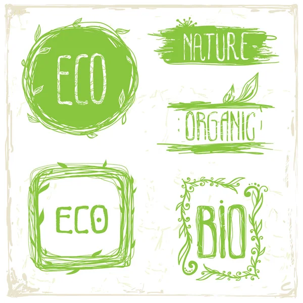 Eko çerçeve çiçek koleksiyonu