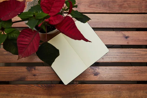 Cuaderno abierto con mesa de madera. Una flor en una olla. espacio de trabajo — Foto de Stock