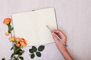 Yaratıcı sahte kopya alanı tablo ile yapılan düzeni. Açık kaşar
