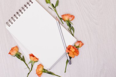 Yaratıcı bir kart ile alay ve orang yükseldi. Pape boş sayfası