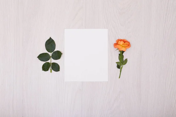 Una maqueta creativa con una tarjeta y una rosa de orang. Hoja vacía de pape — Foto de Stock