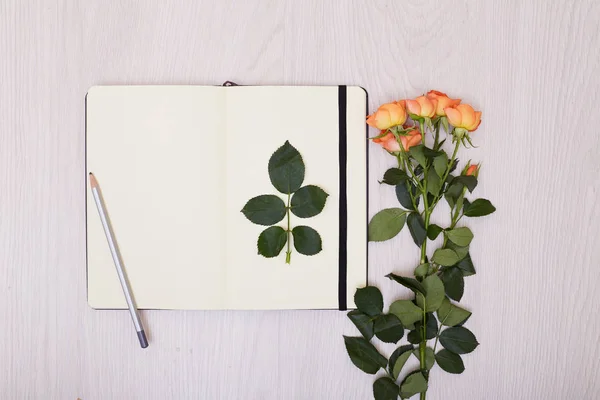 Diseño de maqueta creativa hecha con espacio de copia en la mesa. Piel abierta — Foto de Stock